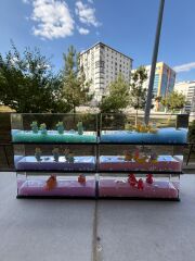 Toptan Capybara Kuromi Sanrio Ayıcık Karışık Model Batmayan Gemi