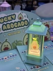 TOPTAN KÜRE ÇEŞİTLERİ IŞIKLI ORTA BOY KARIŞIK RESİMLERE BAKINIZ